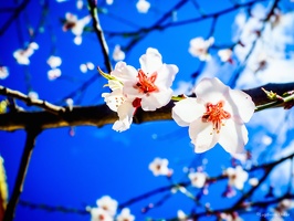 Yunnan-April2019-by-Lugdivine-Unfer-1787