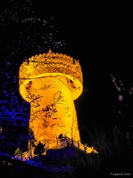 Yunnan-April2019-by-Lugdivine-Unfer-1822