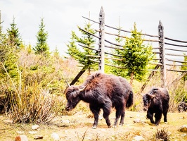 Yunnan-April2019-by-Lugdivine-Unfer-1930