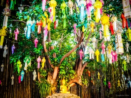 color-1-ChaingMai-Thailand-January2020-by-Lugdivine-Unfer-40