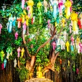 color-1-ChaingMai-Thailand-January2020-by-Lugdivine-Unfer-40