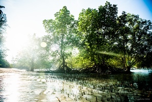 KoPhayam-life-pictures-Thailand-february2020-by-Lugdivine-Unfer-82