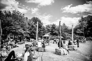 B&amp;W-TheTameandtheWild-Degrengeschapp-Echternach-LU-11072020-byLugdivineUnfer-2