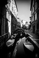 Venessia2020-by-LugdivineUNFER-145