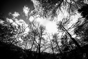  B&amp;W-JudaszNahimana-Residence-Bourscheid-LU-07052021-by-LugdivineUnfer-121