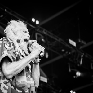 Summer vibration festival 2023