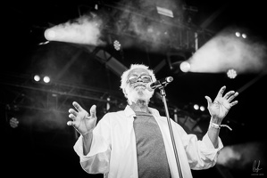 96dpi-B&amp;W-SummerVibration-Festival-Selestat-FR-24072023-byLugdivineUnfer-46