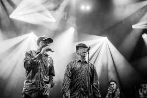 96dpi-B&amp;W-SummerVibration-Festival-Selestat-FR-24072023-byLugdivineUnfer-128