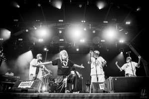 96dpi-B&amp;W-SummerVibration-Festival-Selestat-FR-24072023-byLugdivineUnfer-73