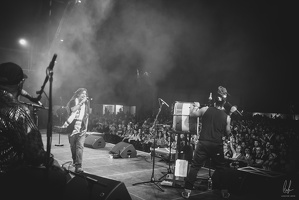 96dpi-B&amp;W-SummerVibration-Festival-Selestat-FR-24072023-byLugdivineUnfer-179