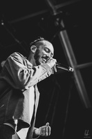 B&amp;W-NoLogo-Fraisans-2023-byLugdivineUnfer-512