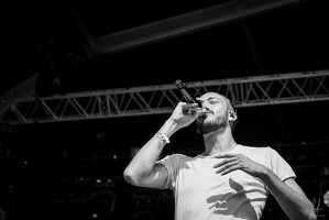 B&amp;W-NoLogo-Fraisans-2023-byLugdivineUnfer-523