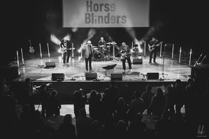 B&amp;W-TheHorseBlinders-Opderschmelz-27102023-byLugdivineUnfer-175