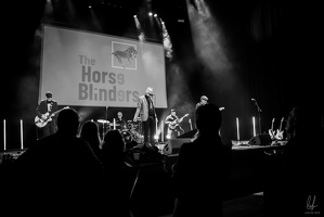 B&amp;W-TheHorseBlinders-Opderschmelz-27102023-byLugdivineUnfer-186