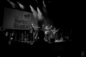 B&amp;W-TheHorseBlinders-Opderschmelz-27102023-byLugdivineUnfer-222