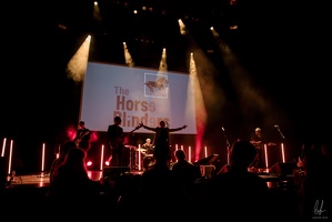 TheHorseBlinders-Opderschmelz-27102023-byLugdivineUnfer-163