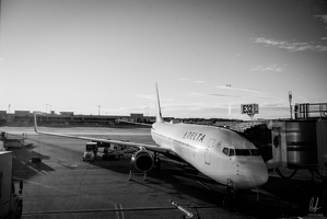 B&amp;W-Jamaica2024-byLugdivineUnfer-1