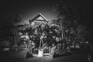 B&amp;W-Jamaica2024-byLugdivineUnfer-218