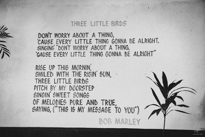 B&amp;W-Jamaica2024-byLugdivineUnfer-224