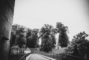 BTS-B&amp;W-JulianMarley-lesnuitsdelongwy-03082024-byLugdivineUnfer-28