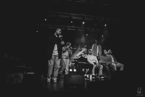 B&amp;W-BCONE-APE-Schungfabrik2024-byLugdivine-126