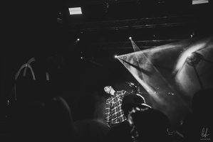 B&amp;W-BCONE-APE-Schungfabrik2024-byLugdivine-135