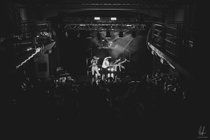 B&amp;W-BCONE-APE-Schungfabrik2024-byLugdivine-142