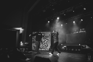 B&amp;W-BCONE-APE-Schungfabrik2024-byLugdivine-198