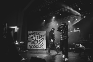 B&amp;W-BCONE-APE-Schungfabrik2024-byLugdivine-199
