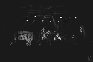 B&amp;W-BCONE-APE-Schungfabrik2024-byLugdivine-203
