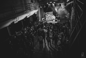 B&amp;W-BCONE-APE-Schungfabrik2024-byLugdivine-216