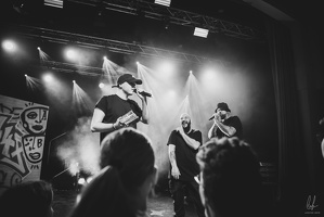 B&amp;W-BCONE-APE-Schungfabrik2024-byLugdivine-229