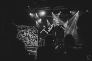 B&amp;W-BCONE-APE-Schungfabrik2024-byLugdivine-235