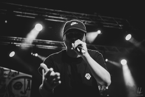 B&amp;W-BCONE-APE-Schungfabrik2024-byLugdivine-256