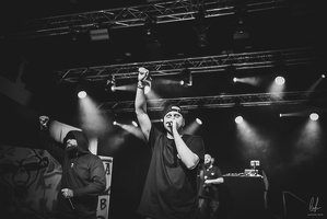 B&amp;W-BCONE-APE-Schungfabrik2024-byLugdivine-257