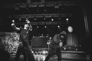 B&amp;W-BCONE-APE-Schungfabrik2024-byLugdivine-261