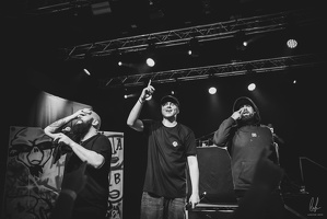 B&amp;W-BCONE-APE-Schungfabrik2024-byLugdivine-264
