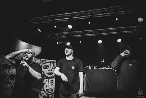 B&amp;W-BCONE-APE-Schungfabrik2024-byLugdivine-265