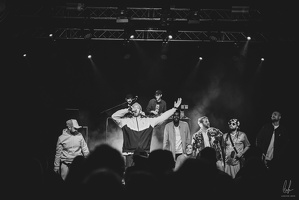 B&amp;W-BCONE-APE-Schungfabrik2024-byLugdivine-284