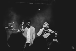 B&amp;W-BCONE-APE-Schungfabrik2024-byLugdivine-297