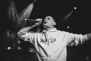 B&amp;W-BCONE-APE-Schungfabrik2024-byLugdivine-311
