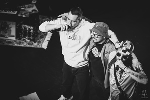 B&amp;W-BCONE-APE-Schungfabrik2024-byLugdivine-321