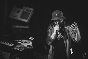 B&amp;W-BCONE-APE-Schungfabrik2024-byLugdivine-322
