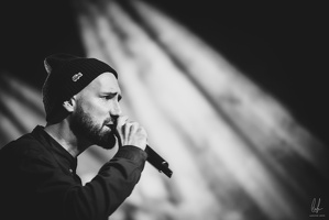 B&amp;W-BCONE-APE-Schungfabrik2024-byLugdivine-328