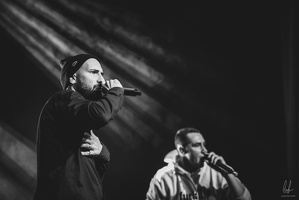 B&amp;W-BCONE-APE-Schungfabrik2024-byLugdivine-330