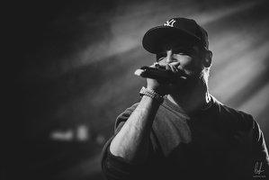 B&amp;W-BCONE-APE-Schungfabrik2024-byLugdivine-339
