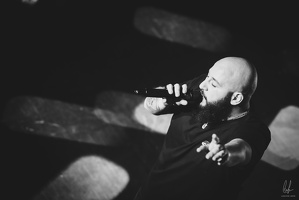 B&amp;W-BCONE-APE-Schungfabrik2024-byLugdivine-341