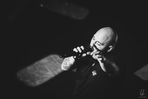 B&amp;W-BCONE-APE-Schungfabrik2024-byLugdivine-342
