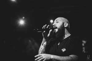 B&amp;W-BCONE-APE-Schungfabrik2024-byLugdivine-345
