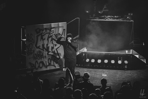 B&amp;W-BCONE-APE-Schungfabrik2024-byLugdivine-368